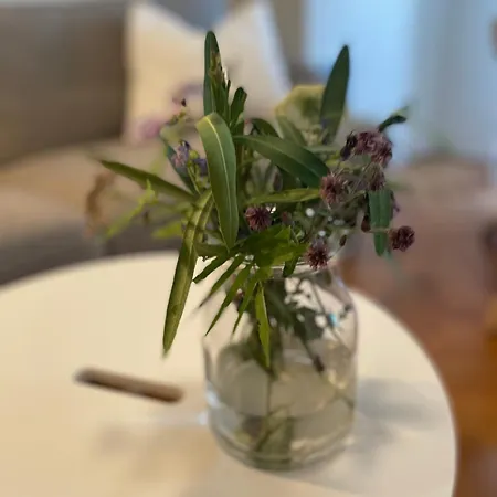 Josipa Apartman Baska (Krk)